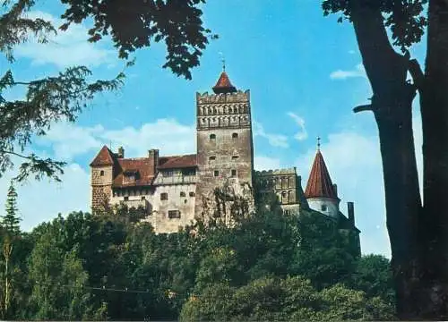 Romania Ceatea Bran monument istoric sec XIV