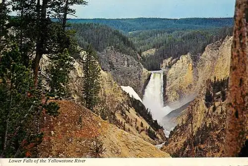 Postcard USA Yellowstone river Lower falls 1977