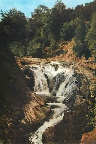 Postcard Romania Muntii Vrancei Valea Putnei