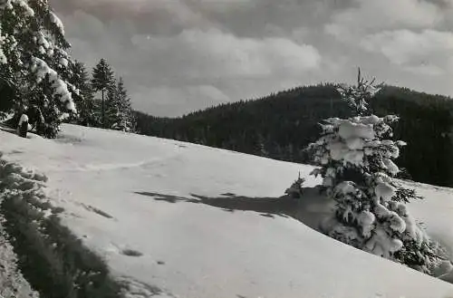 Postcard Poland Krynica on the park hill 1964