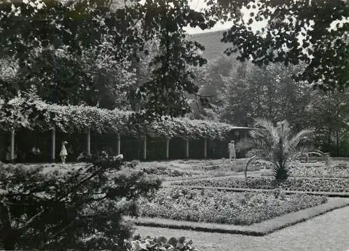 Postcard Poland Zabre garden view 1965
