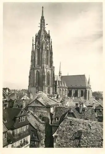Postcard Germany Frankfurt Main dom