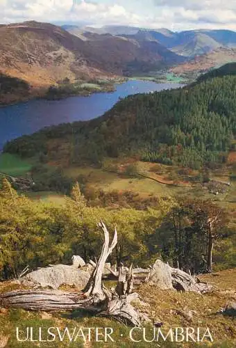 Postcard Uk England Cumbria Ullswater