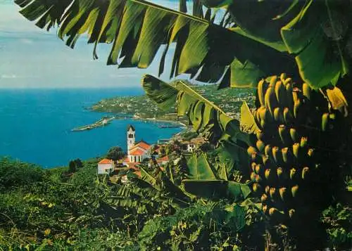 Postcard Portugal Madeira Western view
