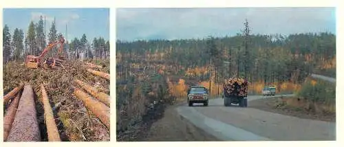 Russia Irkutsk Oblast, Bratsk wood timber logs transport industry