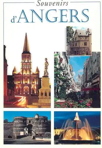 Postcard France Maine et Loire Angers