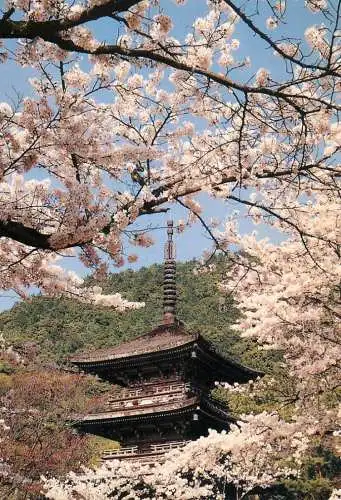 Postcard Japan Kyoto Kiyomizu temple 1981