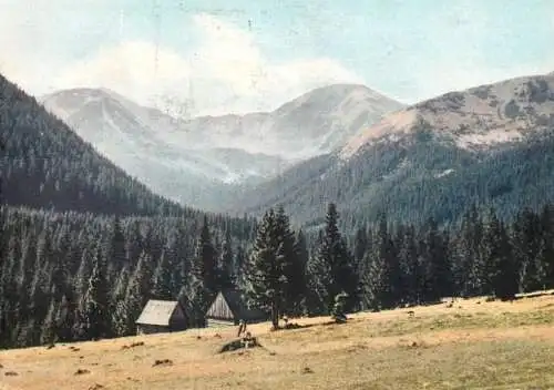 Postcard Poland Tatry Zachodnie the Chocholowska glade 1988m 1965