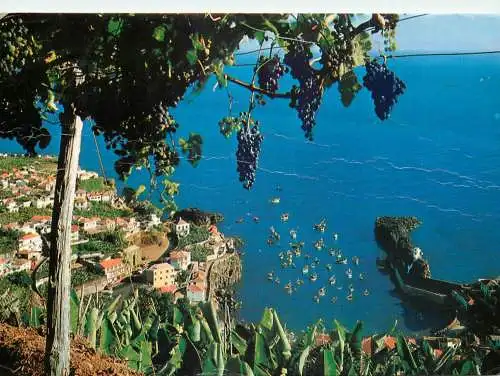 Postcard Spain Madeira Camara de Lobos fishing village