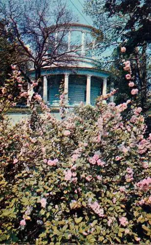Postcard Ukraine Kiew rotund in the Ascold's Grave Park