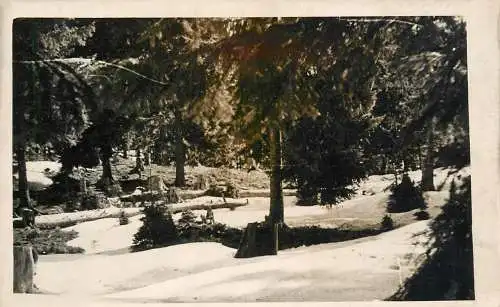 Photo to identify landscape winter scenic