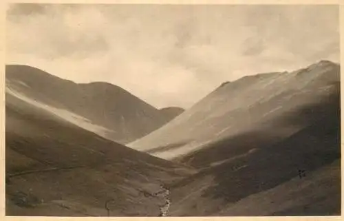 Photo to identify landscape