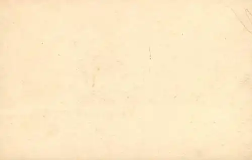 Photo to identify landscape