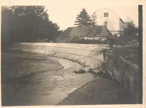 Photo to identify