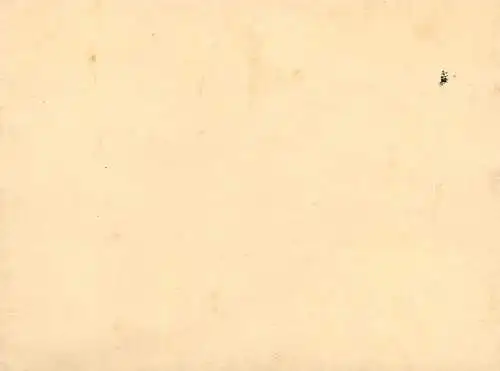 Photo to identify