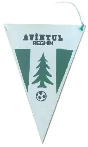 Romania fanion avantul Reghin