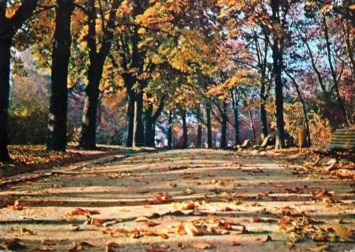 Romania Bucuresti Parcul Libertatii aspect de toamna
