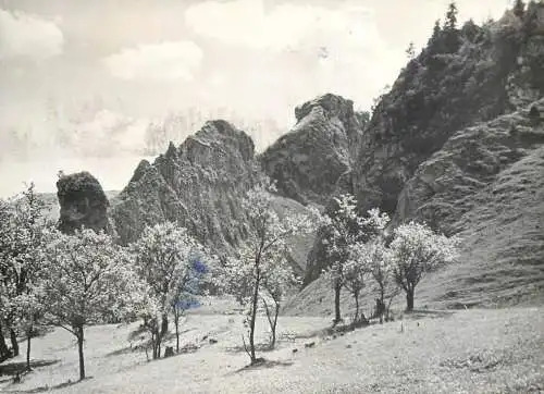 Poland Male Pieniny Homole Gorge picturesque natural landscape