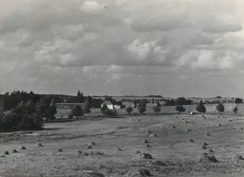 Poland Grunwald