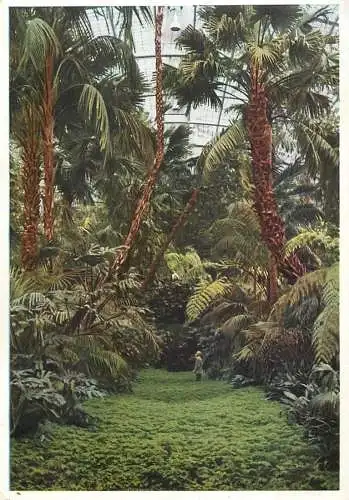 Germany Frankfurt am Main Palmengarten Grosses Palmenhauses