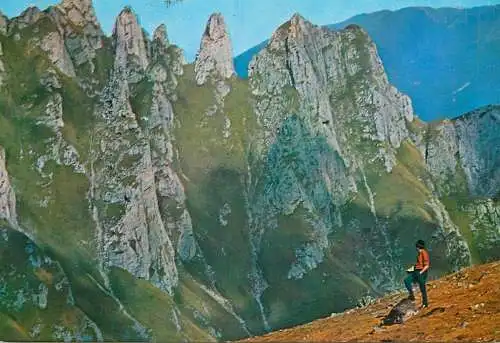 Romania Muntii Bucegi Coltii Morarului