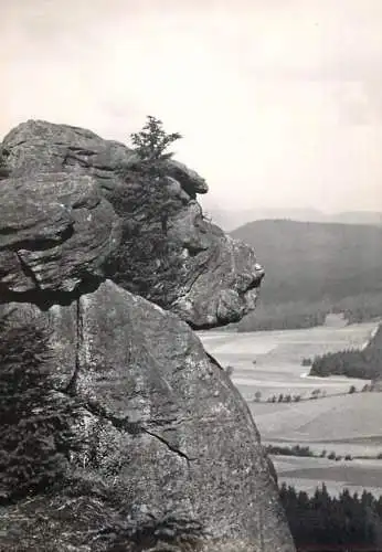 Poland Gory Stolowe "The Mammoth" on Mount Szczeliniec