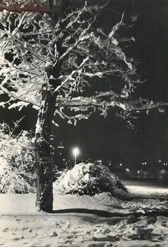 Slovakia night winter scenery & heartfelt winter holidays greetings