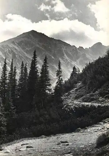 Poland Tatra Mountains Zolta Turnia
