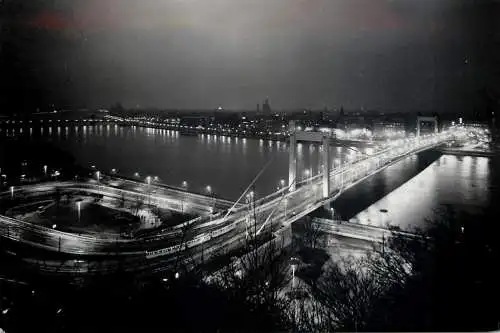 Hungary Budapest Elisabeth Bridge night panoramic view