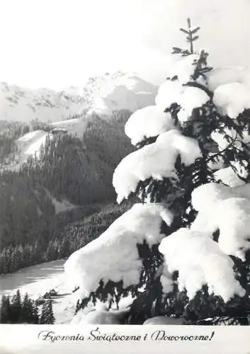 Poland Winter Holidays greetings picturesque forest mountain scenery snow-covered landscape