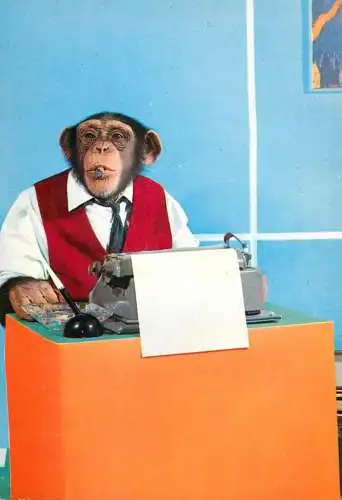 Cigar bossy chimp typewriter