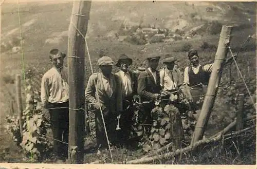 Romania foto 6 x 9 cm social history agricultural scene working men