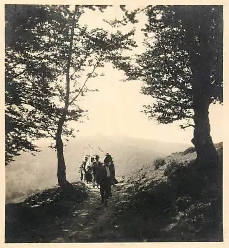 Romania foto 6 x 9 cm social history agricultural scene working men with rakes