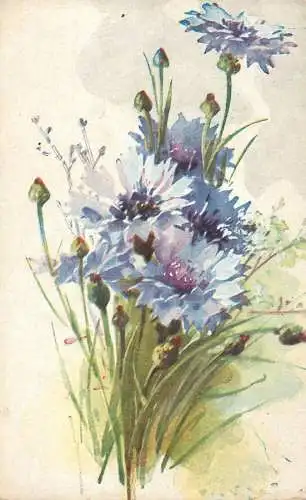 C. Klein Blumen