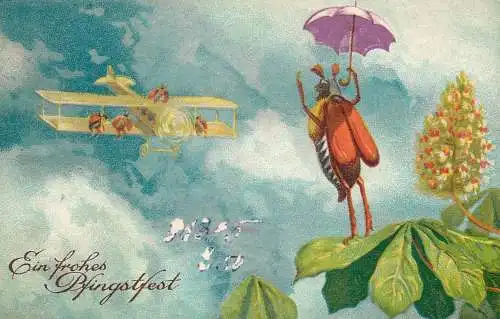 Pentecost beetle bug plane fantasy greetings postcard 1919