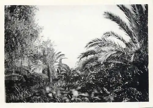 Romania foto photo 6 x 9 cm Landschaft, panorama