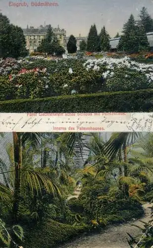 Furst Liechtenstein Schloss mit Palmenhauses multi view