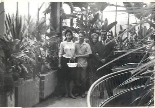 Photo 6 x 9 cm Romania social history friends in the bothanical garden