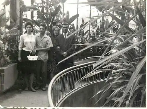 Photo 6 x 9 cm Romania social history friends in the bothanical garden