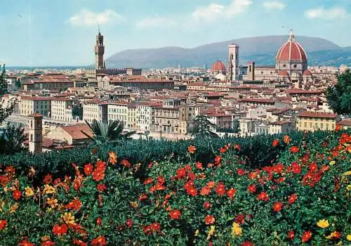 Italy Firenze panorama