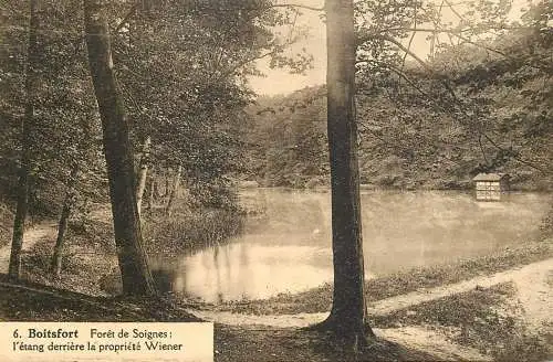Belgium Boitsfort Foret de Soignes l'etang derriere la propriete Wiener