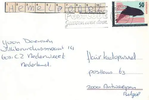 Postcard advertising Netherlands etch sketch tree