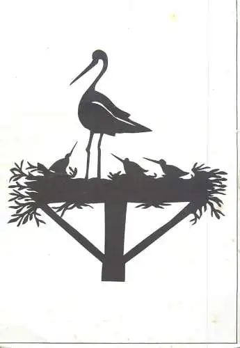 Postcard advertising Belgium etch sketch bird in nest