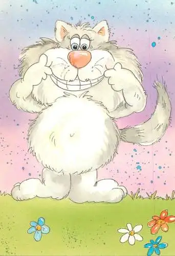 Postcard comic Belgium smiling cat