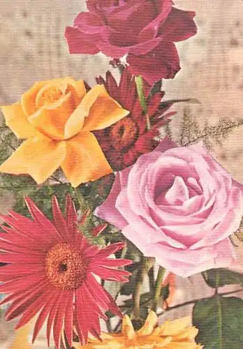 Postcard flower Belgium flower card Le soleil dans le nuit