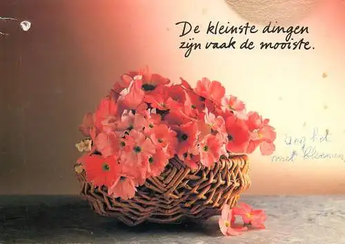 Postcard flower Belgium flower basket