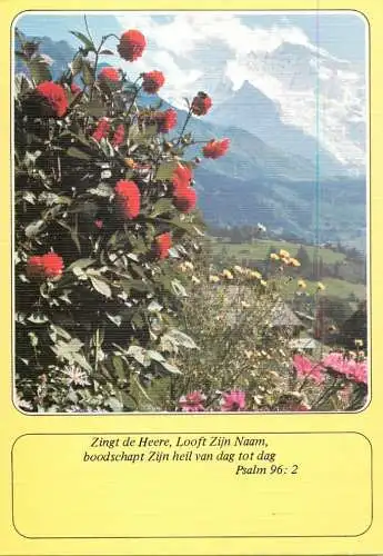 Postcard flower Germany flower bush and mountain scene religious quote Psalm 96:2