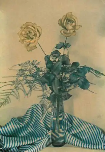 Postcard flower Germany rose in a bottle