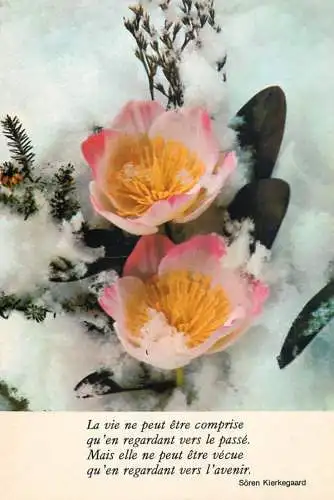 Postcard flower Belgium snow Soren Kierkegaard quote