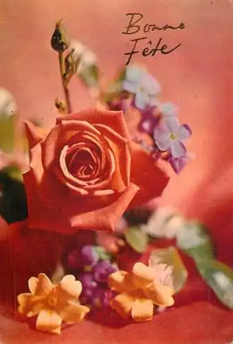 Postcard flower Belgium rose flower